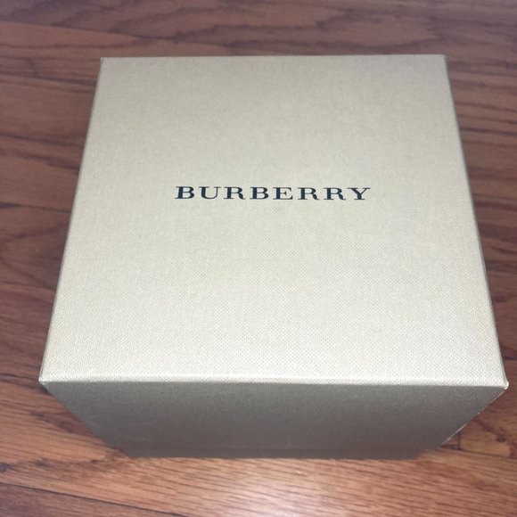 Burberry Bu5400 Watch main image 4